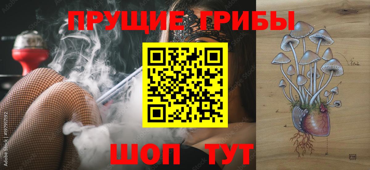 Галлюциногенные грибы Magic Shrooms  Вход с VPN  Псилоцибиновые грибы мицелий  Саранск 