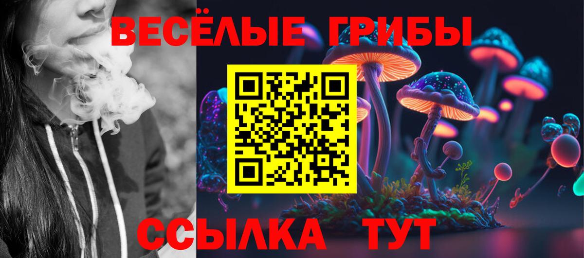 Псилоцибиновые грибы мухоморы Саранск